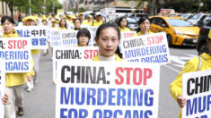 Le PCC mène un « génocide froid » contre le Falun Gong