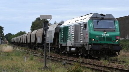Puy-de-Dôme : un train de marchandises attaqué près de Clermont-Ferrand