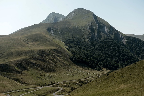 Un troupeau de brebis dans les Pyrénées  (IROZ GAIZKA/AFP via Getty Images)
