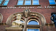 L’Institut Pasteur en recherche de patients pour tester un traitement contre le Covid-19