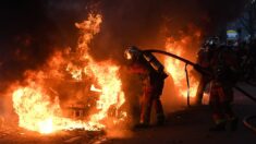 Loire-Atlantique : 80 chevaux sauvés après l’incendie dans le centre équestre de La Chapelle-sur-Erdre