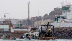 Pêche post-Brexit: Jersey accorde 95 licences à des bateaux français, en refuse 75