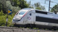 Un Algérien en situation irrégulière muni d’un jerrican, interpellé dans un TGV Nice-Paris