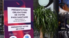 Haute-Garonne : malgré la fin du passe sanitaire dans les grands centres commerciaux, les commerçants sont inquiets