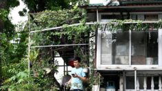 Vietnam: à Hanoï, « mon balcon, mon sauveur » pendant le confinement