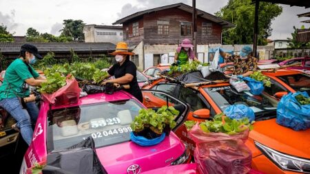 Des taxis de Bangkok convertis en potagers, faute de clients