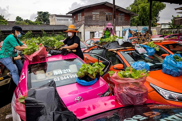 Des membres du personnel d'un garage de location de taxis plantent des légumes sur les toits des nombreux véhicules de l'entreprise actuellement hors service en raison du ralentissement de l'activité suite à la pandémie de coronavirus Covid-19 à Bangkok le 15 septembre 2021. Photo de Jack TAYLOR / AFP via Getty Images.