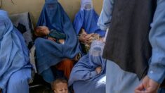 Afghanistan: un risque de famine « imminent », s’alarme l’ONU