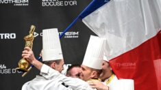 Gastronomie : la France remporte le prestigieux concours culinaire du Bocuse d’Or 2021