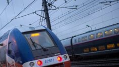 TER Marseille-Nice : la Région propose d’écarter la SNCF au profit de Transdev, une première