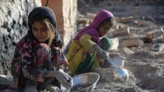 L’Afghanistan menacé de s’enfoncer rapidement dans la pauvreté, avertit l’ONU