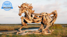 Un artiste sculpte un étonnant cheval léonardesque à partir de bois flotté torsadé provenant de l’océan