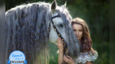 Une photographe russe capture les moments les plus majestueux entre humains et chevaux