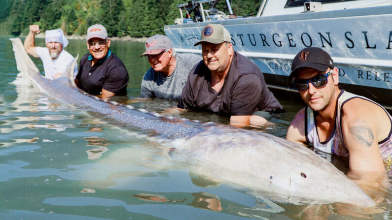 (Avec l'aimable autorisation de Sturgeon Slayers)