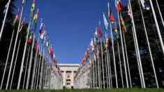 L’ONU cherche à prendre le pouvoir