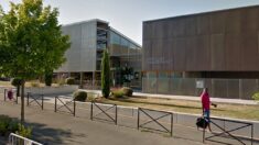 Seine-et-Marne : un papa interdit de réunion scolaire à cause de son chien guide d’aveugle