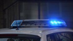 Bordeaux : deux policiers blessés lors d’un cambriolage, une personne en fuite