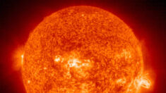 Etude : une tempête solaire rare pourrait provoquer une « apocalypse Internet » de plusieurs mois