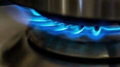 Gaz : le russe Gazprom suspendra « complètement » ses livraisons au groupe français Engie dès le 1er septembre