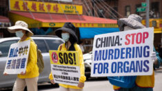 La Chine élude les questions de l’ONU sur le prélèvement forcé d’organes