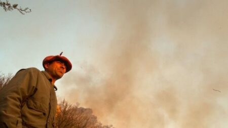 Un étudiant argentin, pompier volontaire, passe un examen pendant une pause alors qu’il lutte contre un incendie