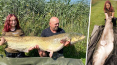 Une jeune fille britannique de 15 ans pêche un énorme silure de 45 Kg, bien plus gros qu’elle