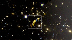 Le télescope spatial Hubble localise de mystérieuses « galaxies mortes » à 11 milliards d’années-lumière