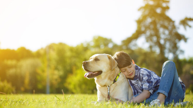 Avoir un animal de compagnie permet aux enfants d'apprendre des leçons de vie importantes, comme la responsabilité. (Nestor Rizhniak/Shutterstock)