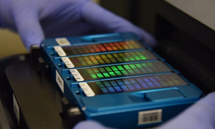 Un technicien place une matrice contenant des informations sur l'ADN dans un scanner à Pékin, le 22 août 2018. (Greg Baker/AFP via Getty Images)