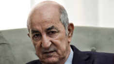 Visas : le Président algérien accuse le ministre Gérald Darmanin de « gros mensonge »