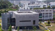 Les ventes de tests PCR ont explosé à Wuhan avant la publication des premiers cas officiels de Covid-19 selon un rapport