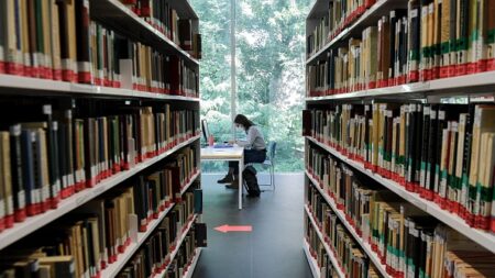 Rassemblement contre le pass sanitaire à la bibliothèque de Romainville : « En tant que bibliothécaires, on doit garantir l’accès au savoir et à la culture à tous »