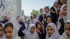 A Kandahar, des femmes résistent et travaillent, dans l’angoisse