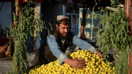 La crise humanitaire s’amplifie en Afghanistan, alerte une responsable de l’ONU