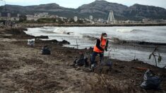 Marseille : les plages ensevelies sous des tonnes de déchets