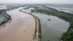 Chine: 15 morts dans des inondations, réouverture des mines
