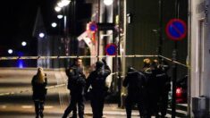 Attaque à l’arc en Norvège : le suspect est un Danois converti à l’islam soupçonné de radicalisation