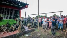 Colombie: libération des 180 militaires retenus par des cultivateurs de coca