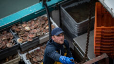 Pêche: Paris menace de « réduire » les livraisons d’électricité à Jersey, pas de la « couper »