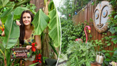 Une femme passe trois ans à transformer sa maison en un paradis tropical : « C’est très thérapeutique »