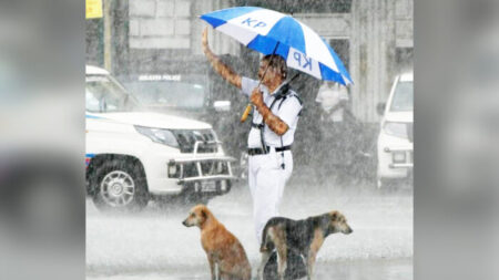 Une photo montre deux chiens trempés par la pluie, abrités par un agent de la circulation sous son parapluie