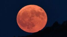 Spectaculaire « lune du chasseur » le 20 octobre : tout ce qu’il faut savoir
