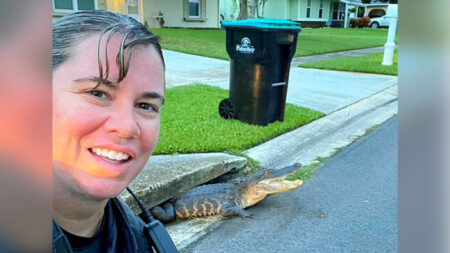 Un alligator coincé dans avaloir en Floride, sourit sur le selfie d’une policière