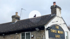La photo d’un teckel sur le toit d’un pub à Sheffield devient virale et déconcerte les Britanniques