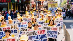 Les médias refusent de dénoncer les prélèvements d’organes forcés en Chine