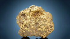 La plus grosse pépite d’or trouvée en Alaska pèse 10 kg et sera vendue aux enchères entre 620.000 et 1,1 millions d’euros