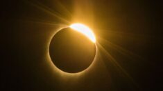 Une éclipse solaire totale va obscurcir la journée du 4 décembre pendant quelques minutes : où pourra-t-on la voir ?