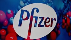 Pfizer annonce de premiers résultats très positifs pour sa pilule anti-Covid