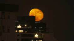 Eclipse de Lune « quasi totale » la nuit prochaine, la plus longue depuis 1440