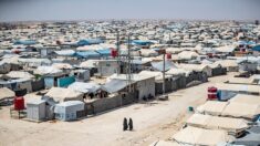 Syrie: trois réfugiés irakiens tués dans un camp dans le nord-est (ONG)